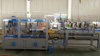 Top Loading Wraparound Case Packer Eco-friendly Small Beverage Pack with Silent Drive Module for Beverage Factories